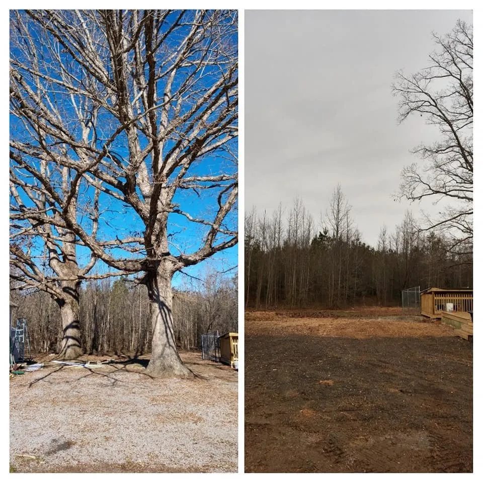 Affordable yard maintenance in Cumberland, VA by T & B Landscaping & Tree Service