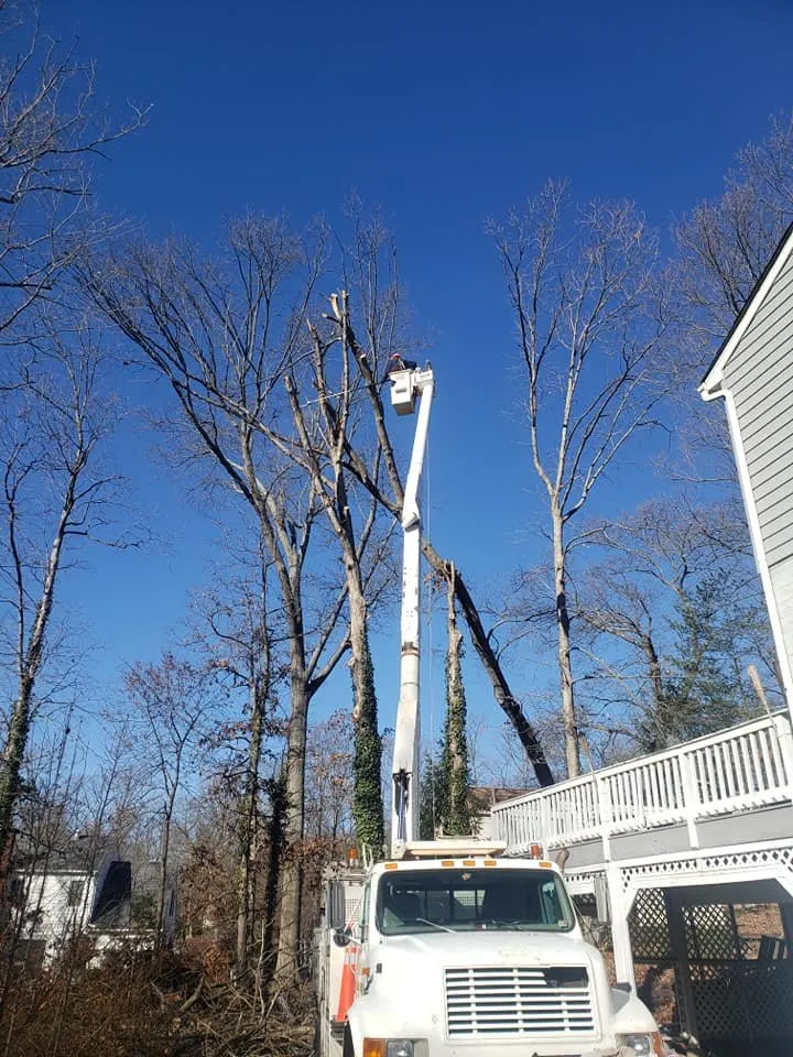 Custom yard maintenance for year-round maintenance in Cumberland, VA by T & B Landscaping & Tree Service