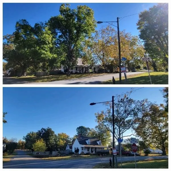 Expert yard maintenance in Cumberland, VA - T & B Landscaping & Tree Service