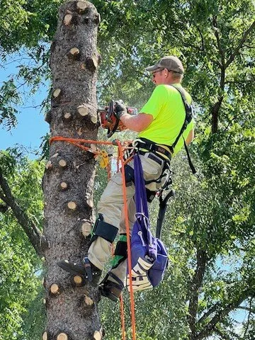 Reliable yard cleanup service for homes in Iowa Falls, IA by T & B Property Maintenance & Tree Service