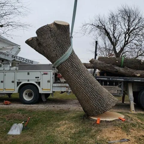 Trusted outdoor landscaping for year-round maintenance across Iowa Falls, IA - T & B Property Maintenance & Tree Service