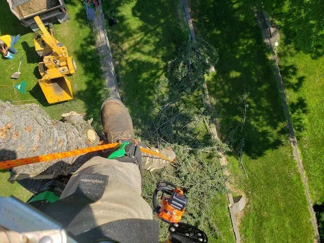 Reliable outdoor landscaping experts serving Iowa Falls, IA - T & B Property Maintenance & Tree Service