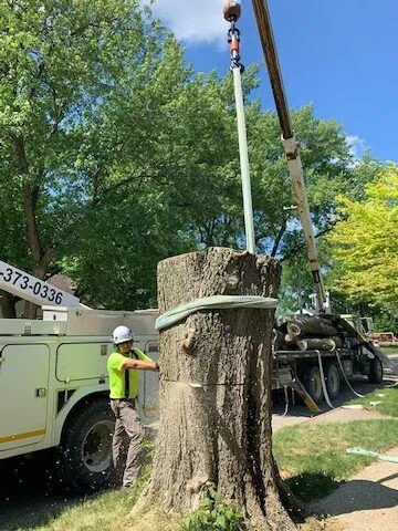 Local landscape installation in Iowa Falls, IA - T & B Property Maintenance & Tree Service