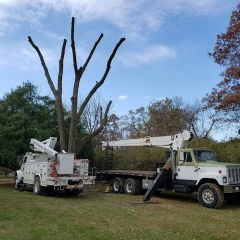 Reliable landscape design for residential properties across Iowa Falls, IA - T & B Property Maintenance & Tree Service