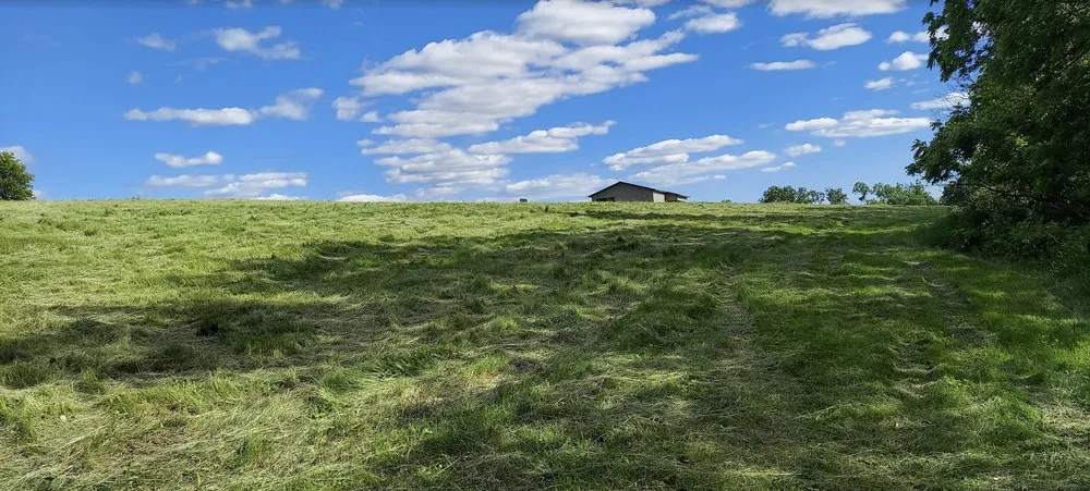 Reliable lawn mowing service experts serving Blanchardville, WI - T & B Property Maintenance