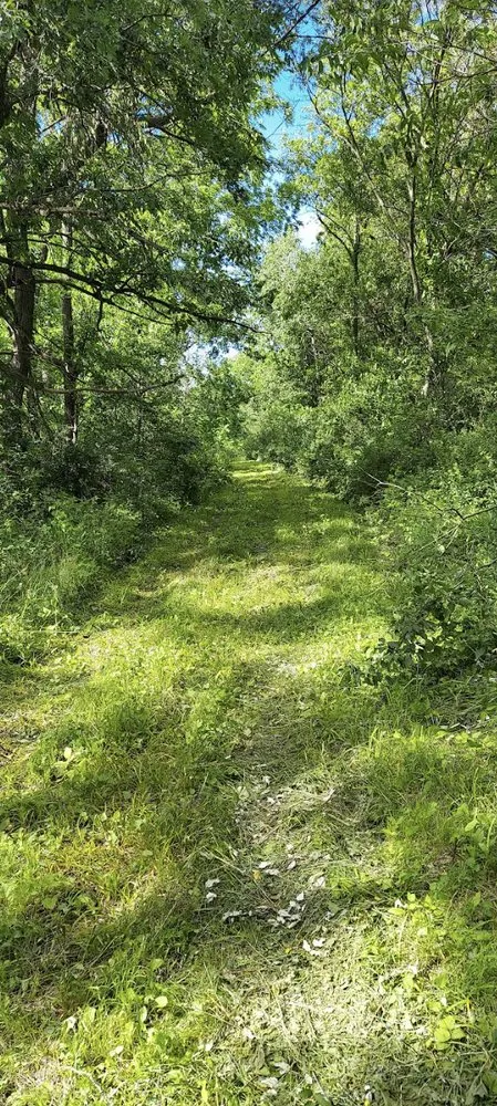 Expert yard maintenance for beautiful yards in Blanchardville, WI by T & B Property Maintenance