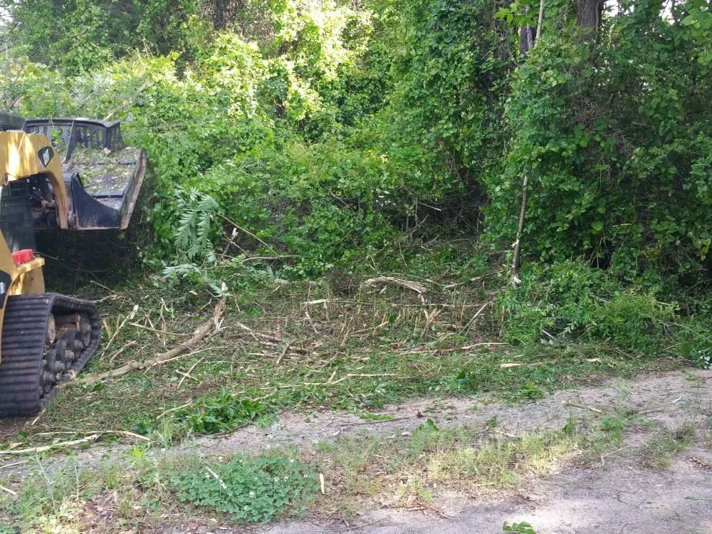 Trusted yard maintenance in Spartanburg, SC - T & C Landscaping