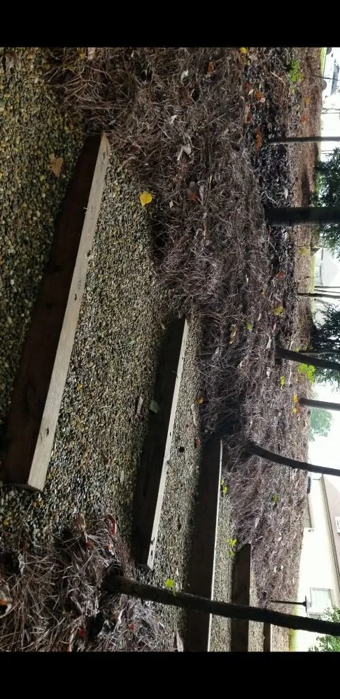 Custom garden landscaping in Spartanburg, SC - T & C Landscaping