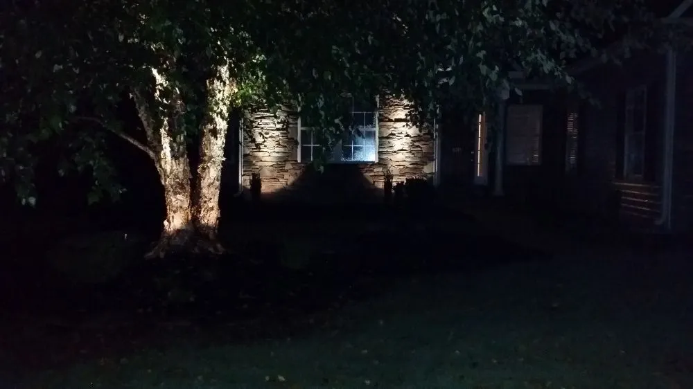 Top-rated yard maintenance experts serving Spartanburg, SC - T & C Landscaping