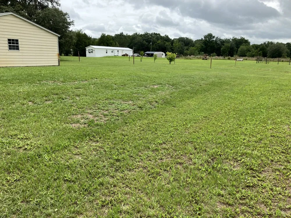 Expert landscape design experts serving Gainesville, FL - T & C Lawn Care