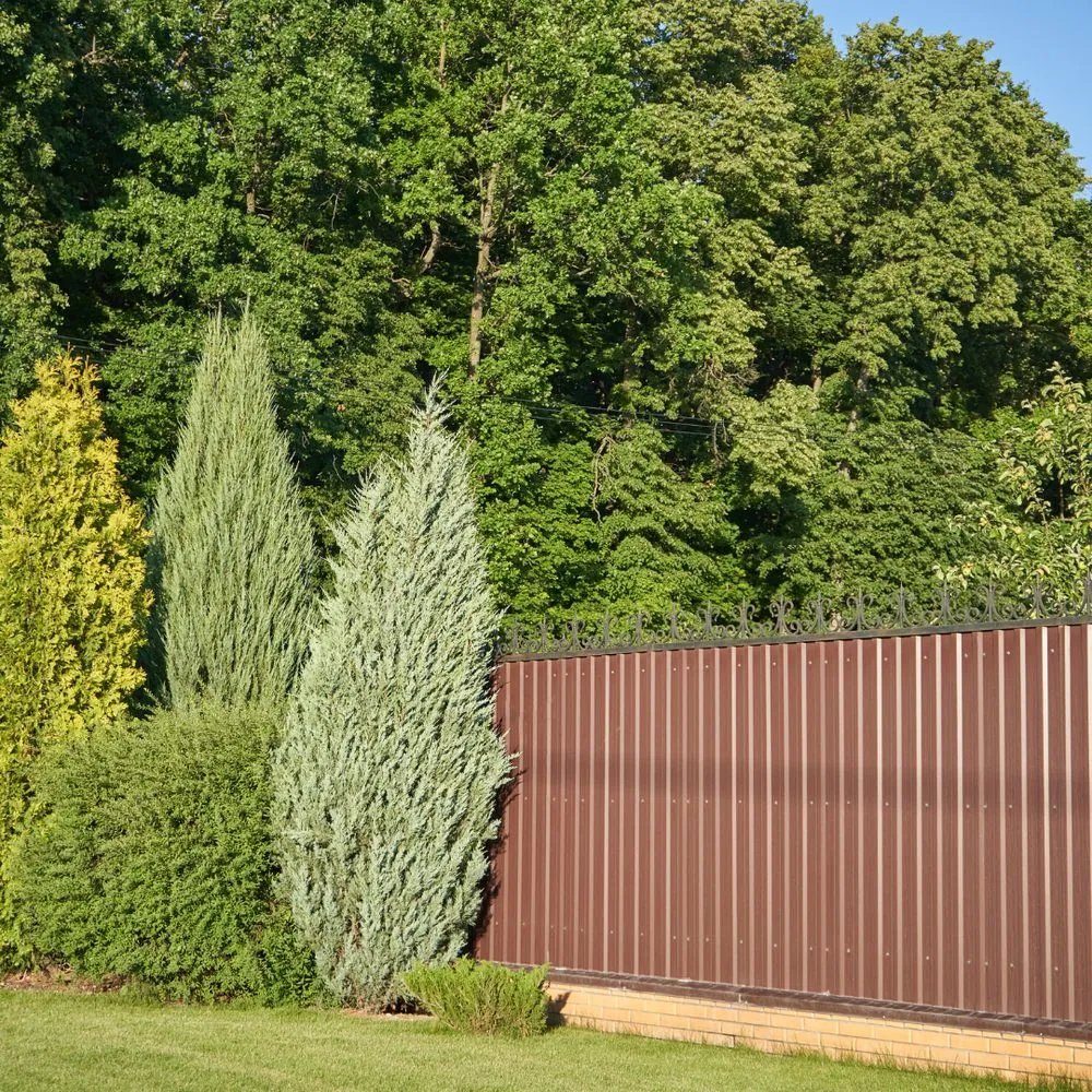 Affordable landscape installation in Hampstead, NC - T & D Contracting