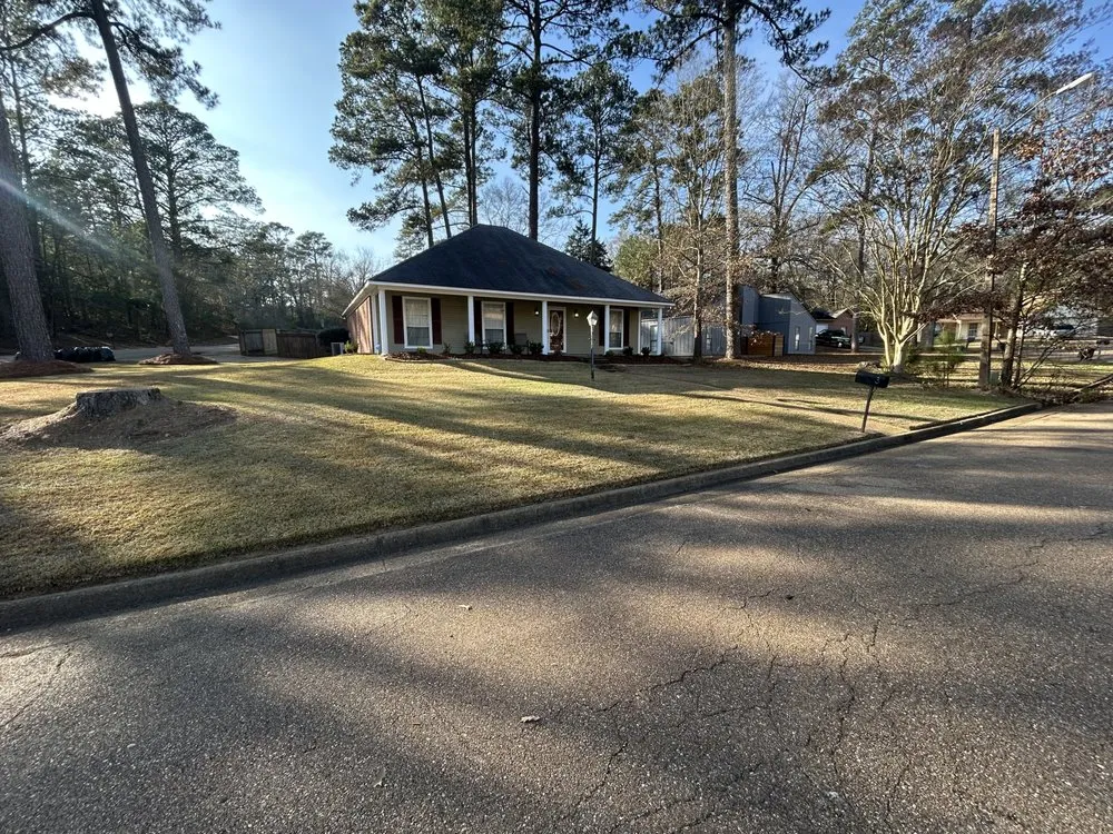 Professional landscape installation in Brandon, MS - T & G Lawn Care