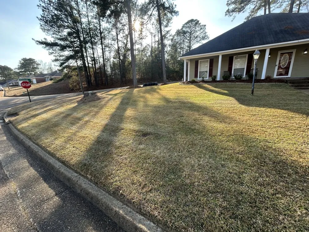 Affordable yard maintenance in Brandon, MS by T & G Lawn Care