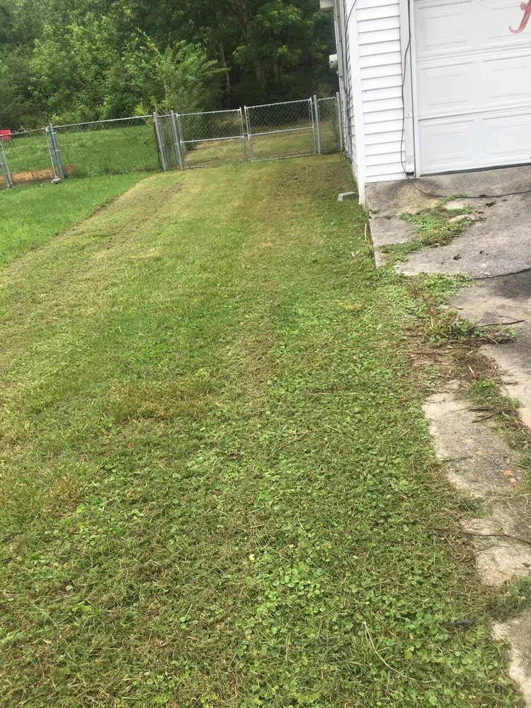 Trusted yard maintenance experts serving Hollywood, AL - T & G Mowing