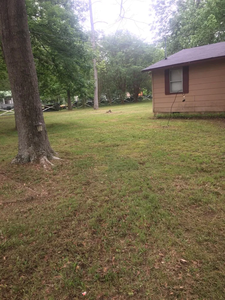 Top-rated garden landscaping in Hollywood, AL - T & G Mowing