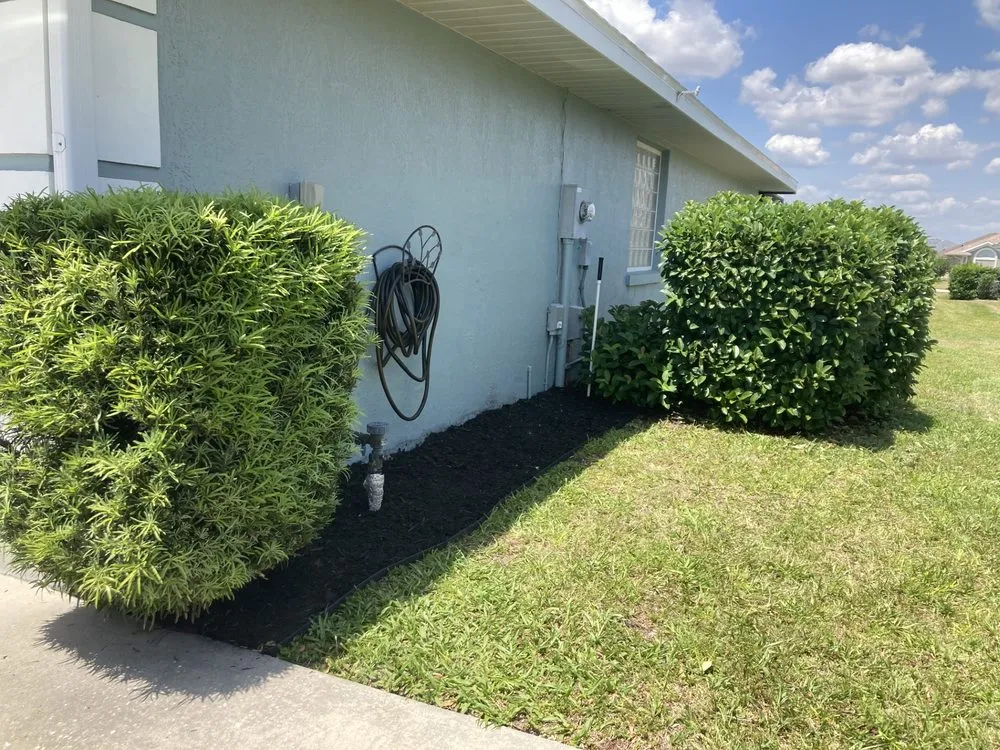 Top-rated yard cleanup service for year-round maintenance in Gainesville, FL by T & H Landscaping