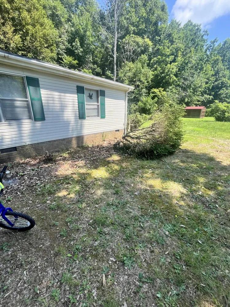 Professional yard maintenance in Locust Hill, VA - T & H Services
