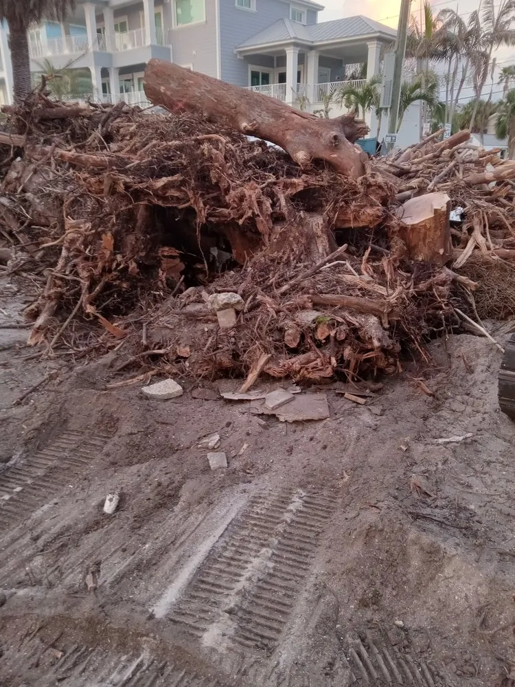 Affordable garden landscaping experts serving Brooksville, FL - T & J Land Services