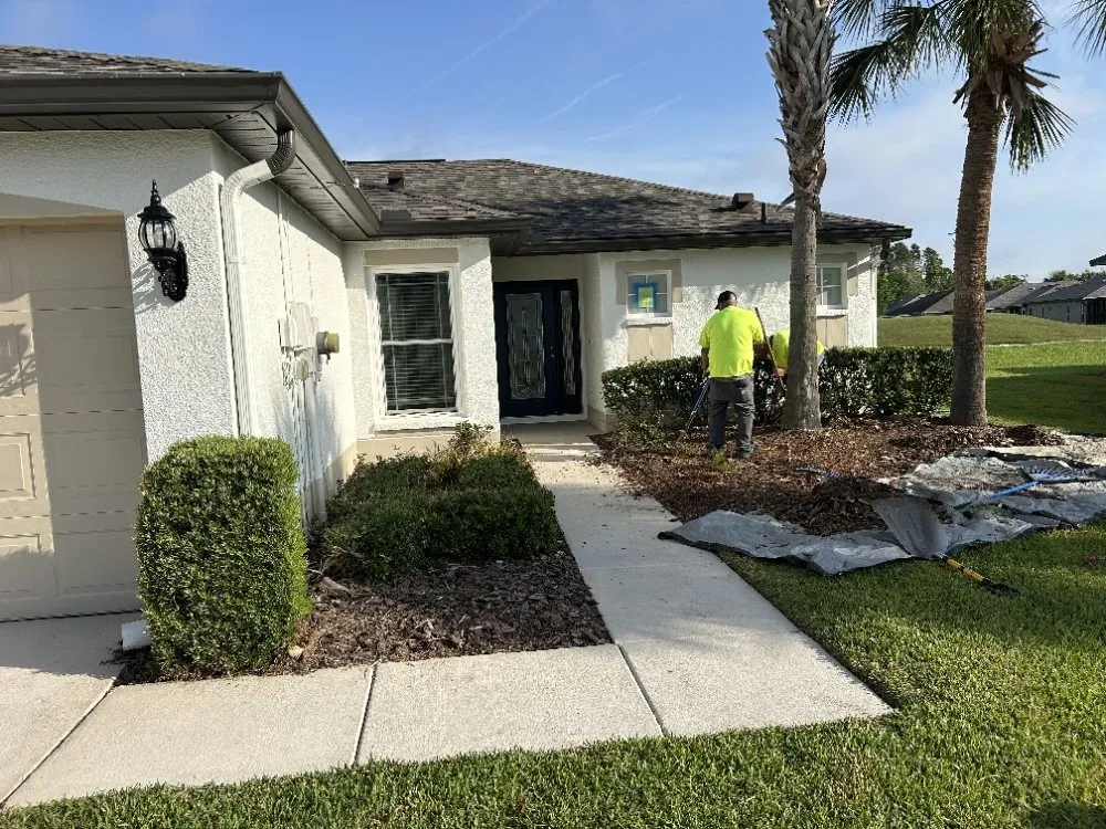 Affordable yard cleanup service in Brooksville, FL - T & J Land Services