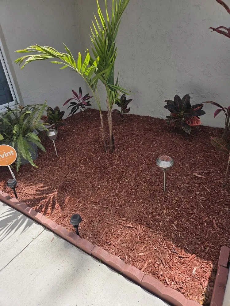 Reliable yard cleanup service for outdoor upgrades in Brooksville, FL by T & J Land Services