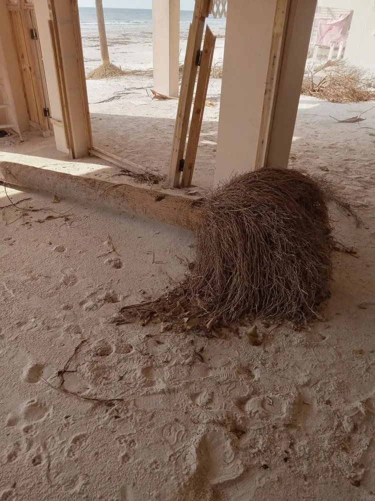 Top-rated yard cleanup service in Brooksville, FL - T & J Land Services