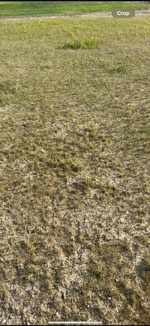 Reliable landscape installation for beautiful yards in Cedar Lake, IN by T & J Landscape Services