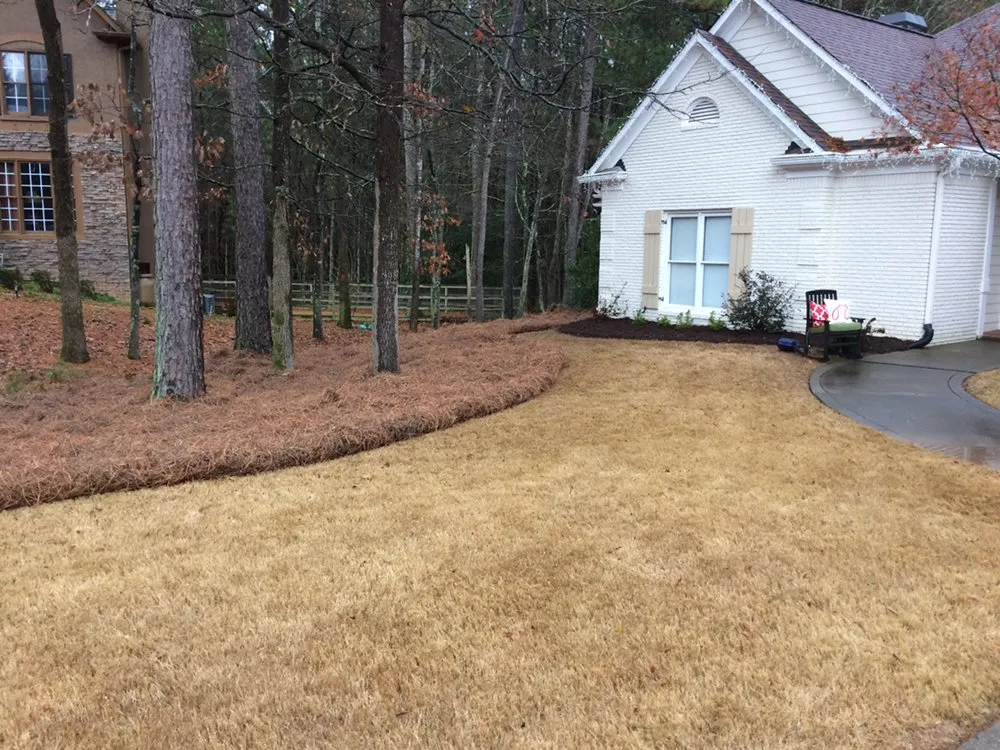 Top-rated lawn care service experts serving Canton, GA - T & J Landscaping and Design