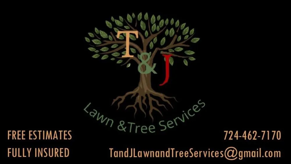 Top-rated lawn mowing service with custom design across Wampum, PA - T & J Lawn & Tree Services