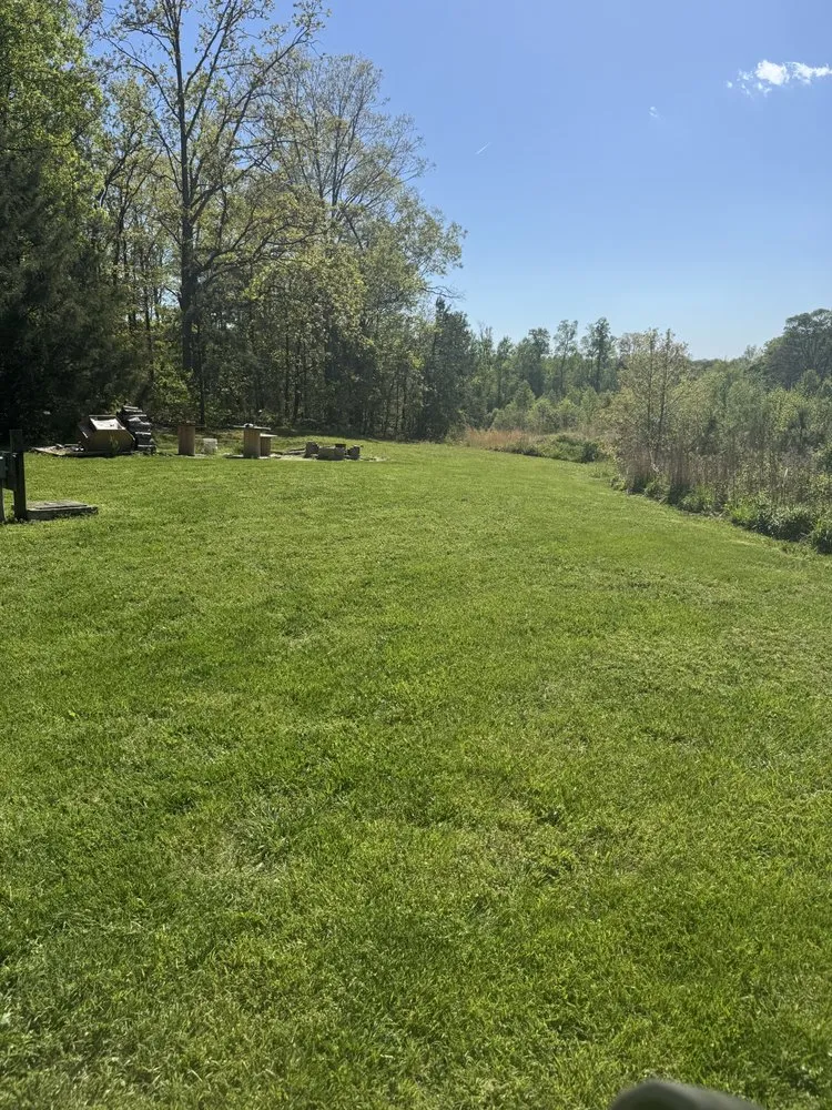 Local yard cleanup service for beautiful yards in Randleman, NC by T & J Lawn Care & More