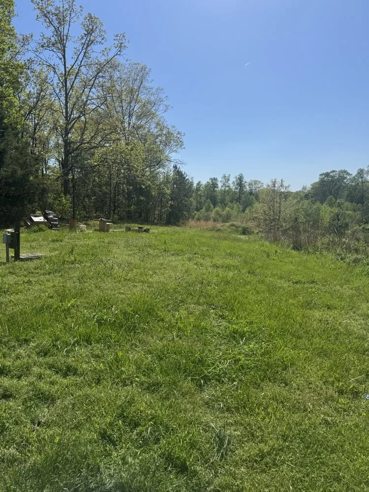 Top-rated yard cleanup service for year-round maintenance in Randleman, NC by T & J Lawn Care & More