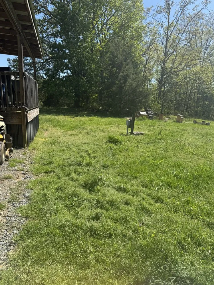 Trusted lawn care service in Randleman, NC by T & J Lawn Care & More