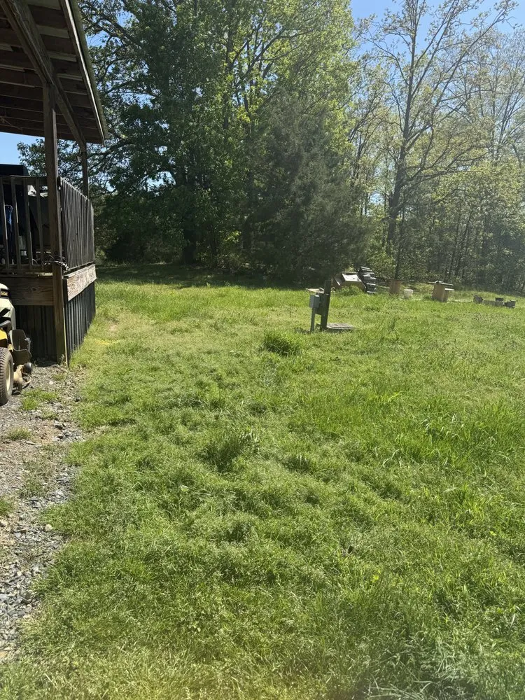 Top-rated yard cleanup service in Randleman, NC by T & J Lawn Care & More