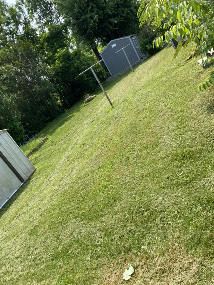 Reliable yard cleanup service in Earlington, KY - T & J Lawn Care