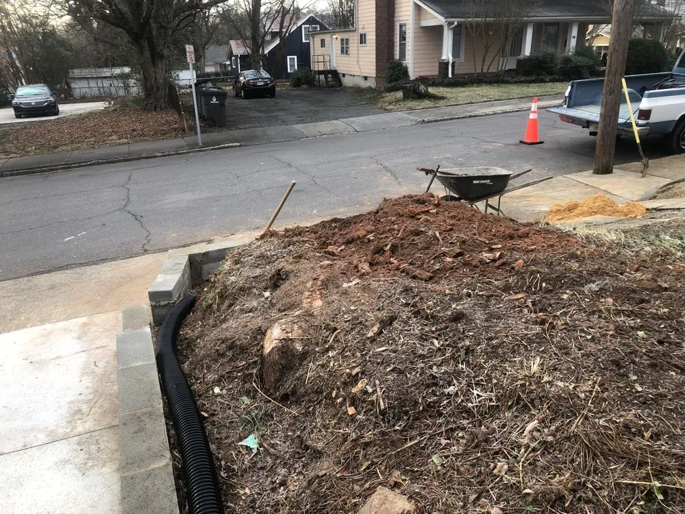 Local lawn care service for year-round maintenance in Winston-Salem, NC by T & J Lawn Care Service