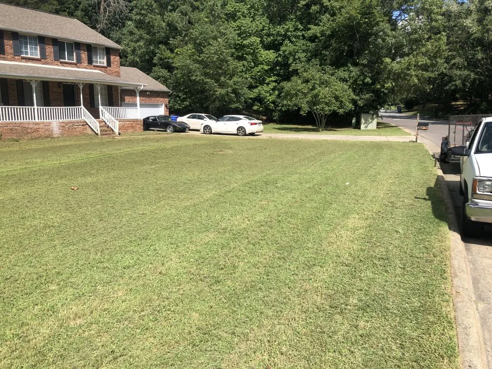 Reliable yard cleanup service in Winston-Salem, NC by T & J Lawn Care Service