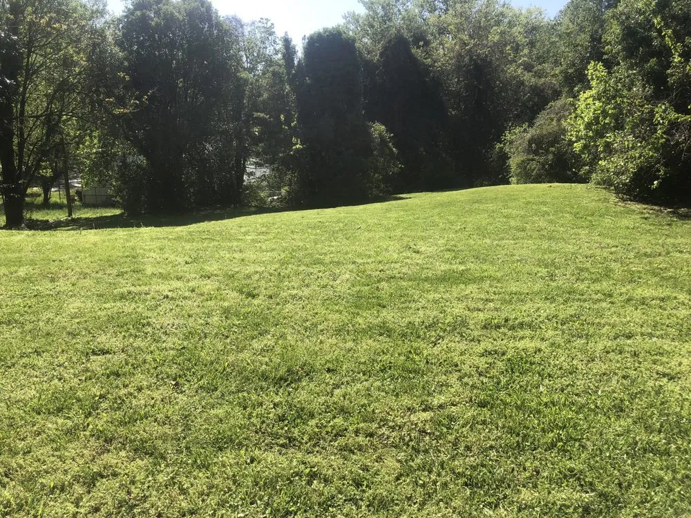 Local outdoor landscaping with custom design in Winston-Salem, NC by T & J Lawn Care Service