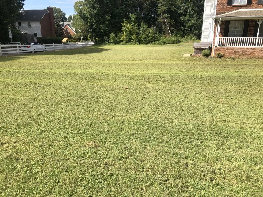 Local landscaping services for outdoor upgrades across Winston-Salem, NC - T & J Lawn Care Service
