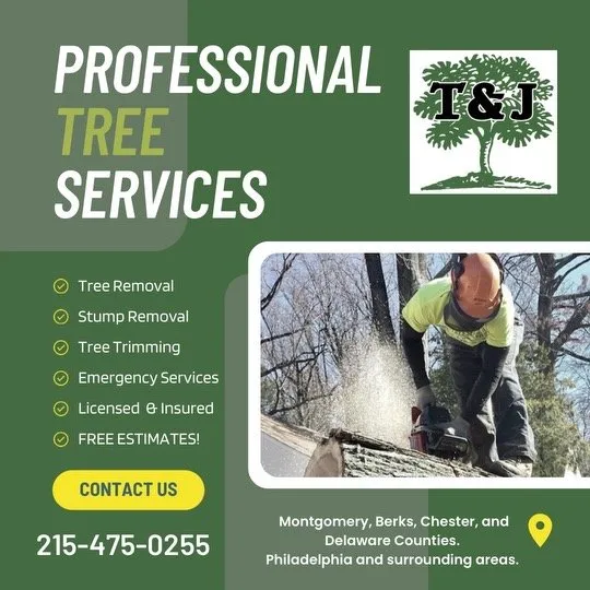 Affordable garden landscaping in Philadelphia, PA - T & J Tree Services