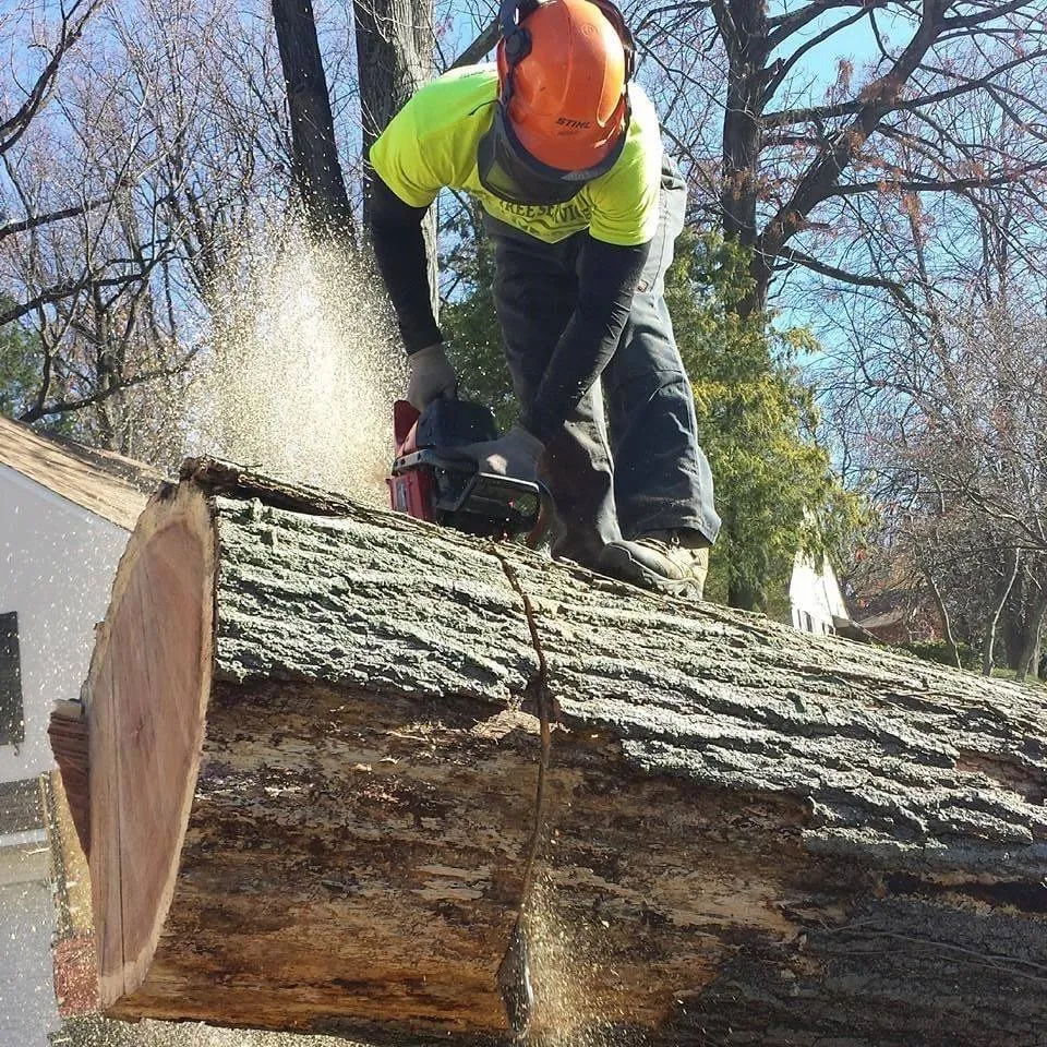 Affordable landscaping services for outdoor upgrades in Philadelphia, PA by T & J Tree Services