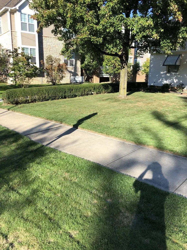 Top-rated yard maintenance for residential properties in Eastlake, OH by T & K Landscape