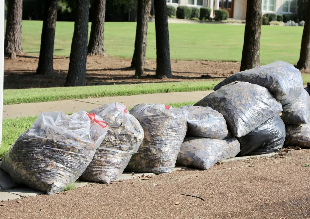 Expert lawn care service in Mobile, AL by T & K Stump Removal Services