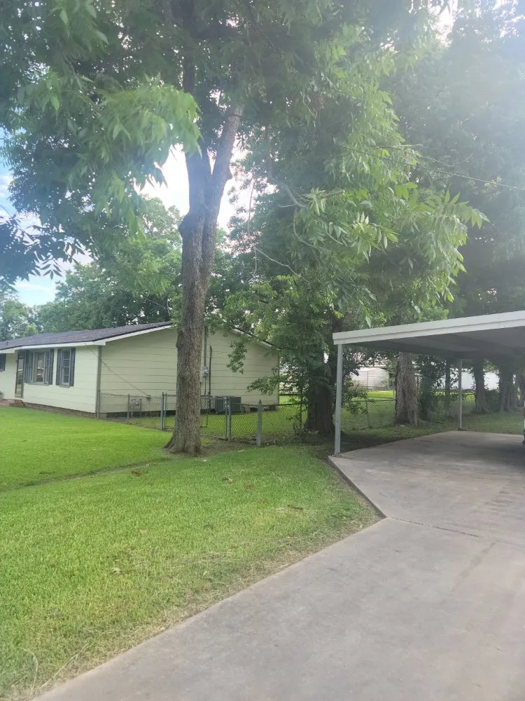 Professional yard cleanup service for outdoor upgrades across Erath, LA - T & L Lawn Service