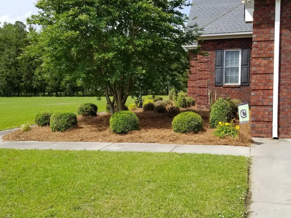 Reliable lawn mowing service with custom design in Kinston, NC by T & L Services