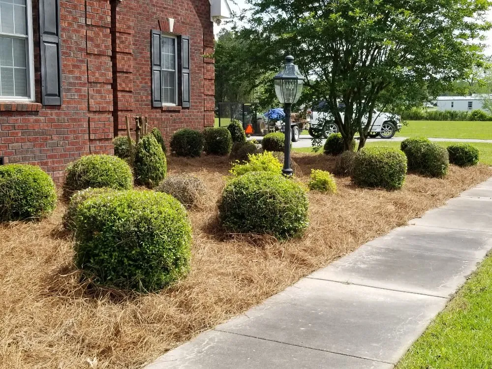 Trusted yard maintenance in Kinston, NC - T & L Services