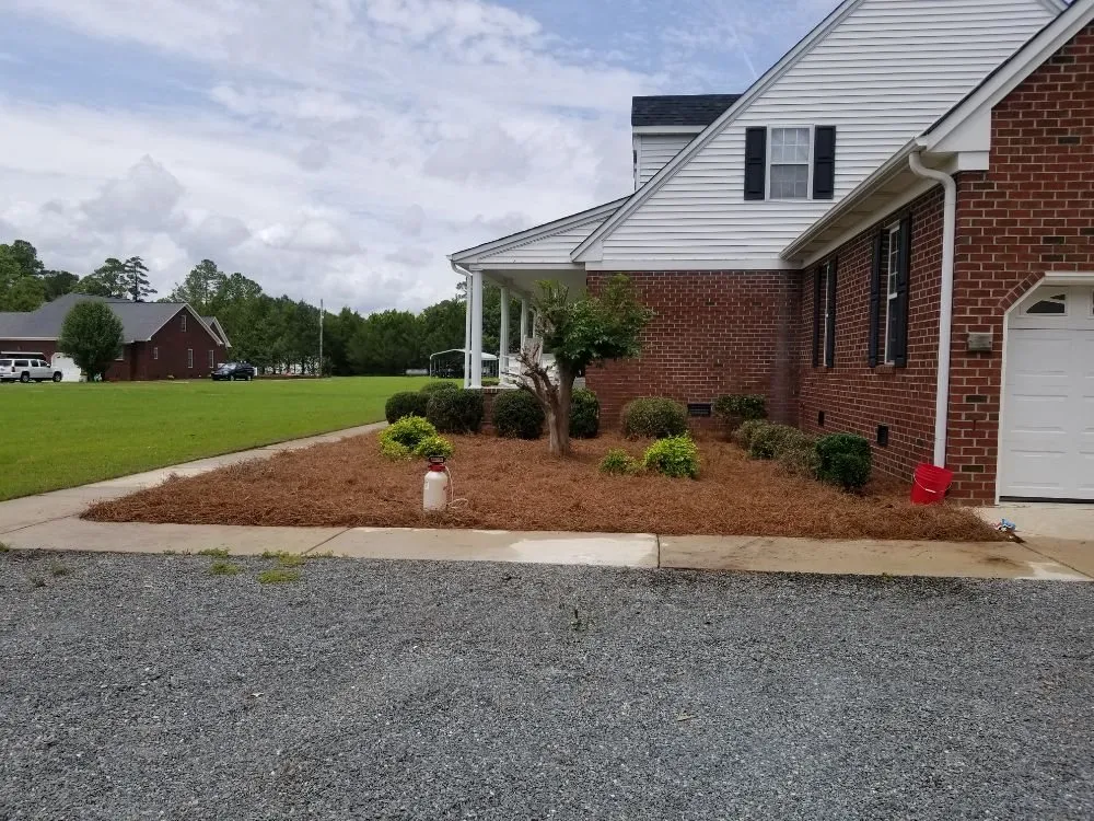 Expert lawn care service in Kinston, NC - T & L Services