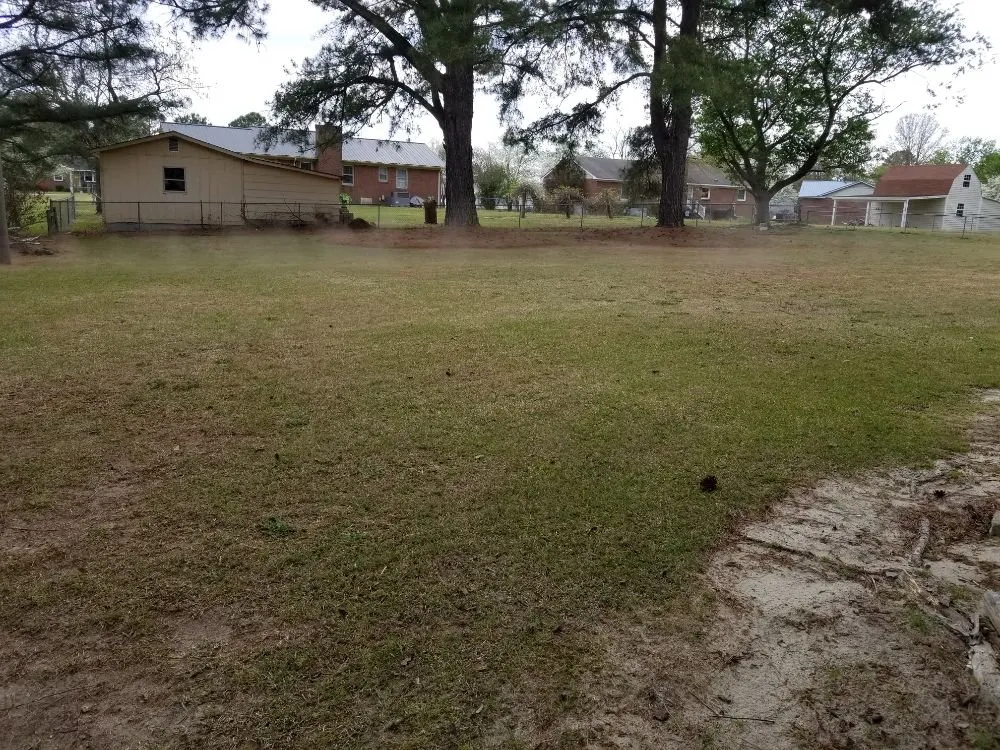 Trusted yard cleanup service near you in Kinston, NC by T & L Services