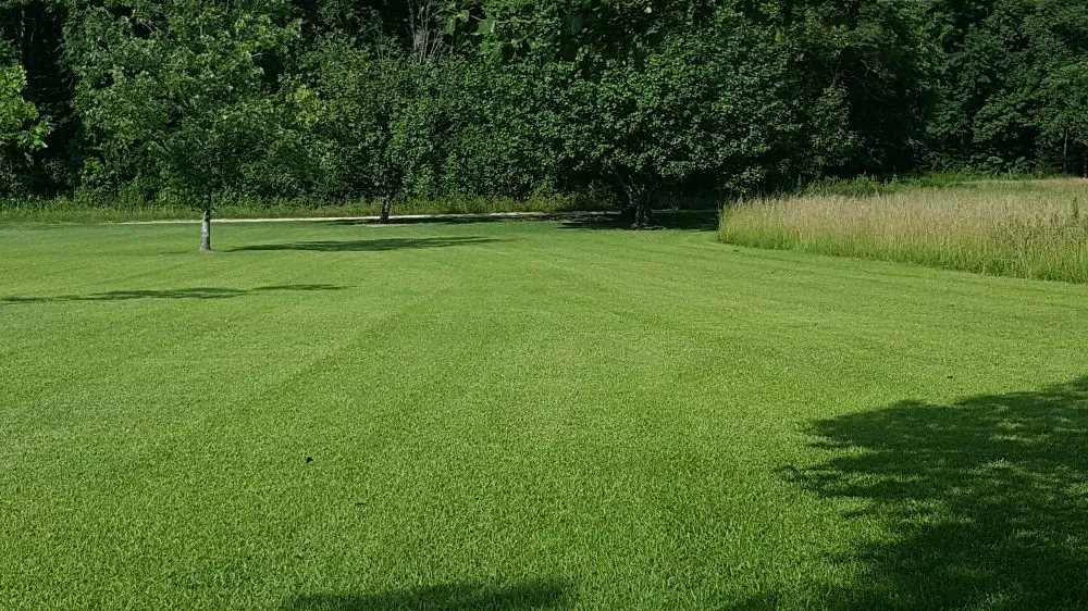 Custom yard maintenance experts serving Kinston, NC - T & L Services