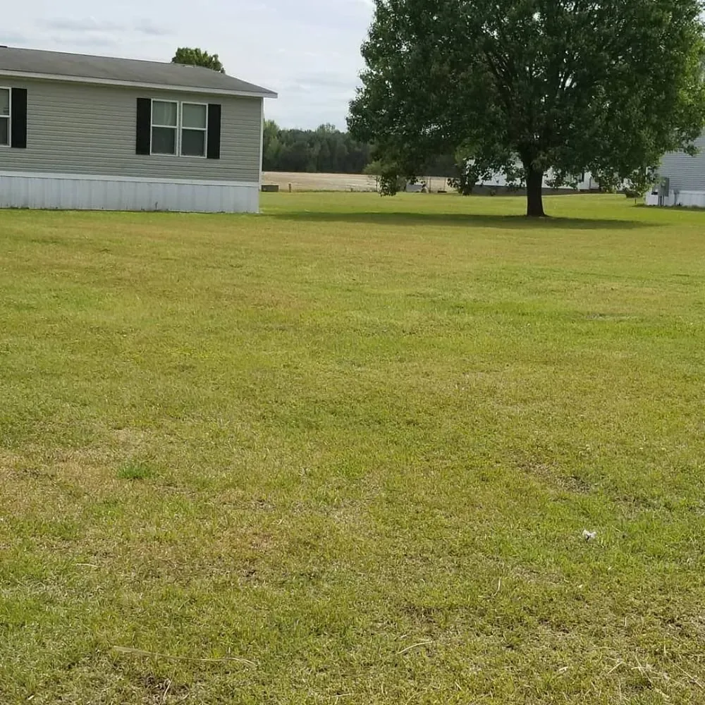 Top-rated landscape installation with custom design across Kinston, NC - T & L Services