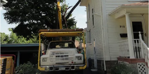 Local lawn mowing service experts serving Macedon, NY - T & L Tree And Landscape