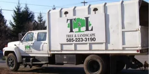 Professional yard cleanup service in Macedon, NY - T & L Tree And Landscape